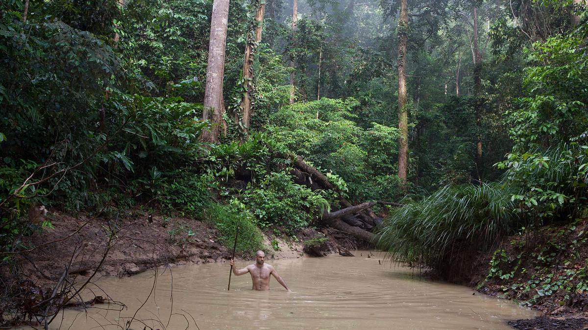 ed stafford: das nackte überleben