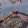 Baishanzu - Chinas unbekanntes Naturjuwel Thumbnail
