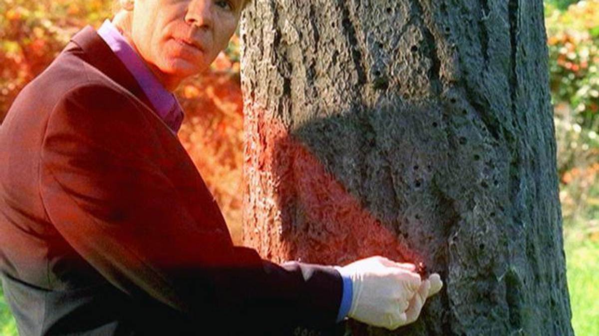 csi: miami