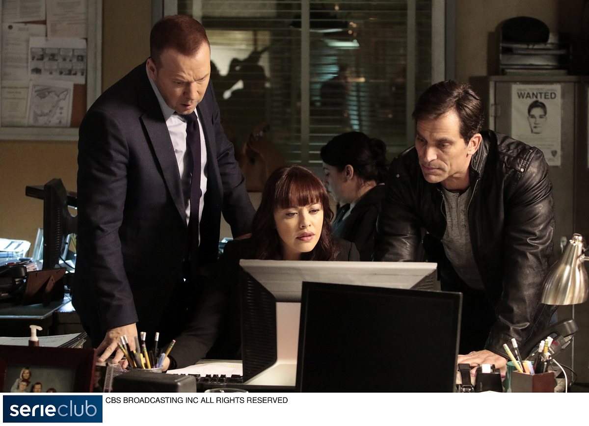 blue bloods - crime scene new york