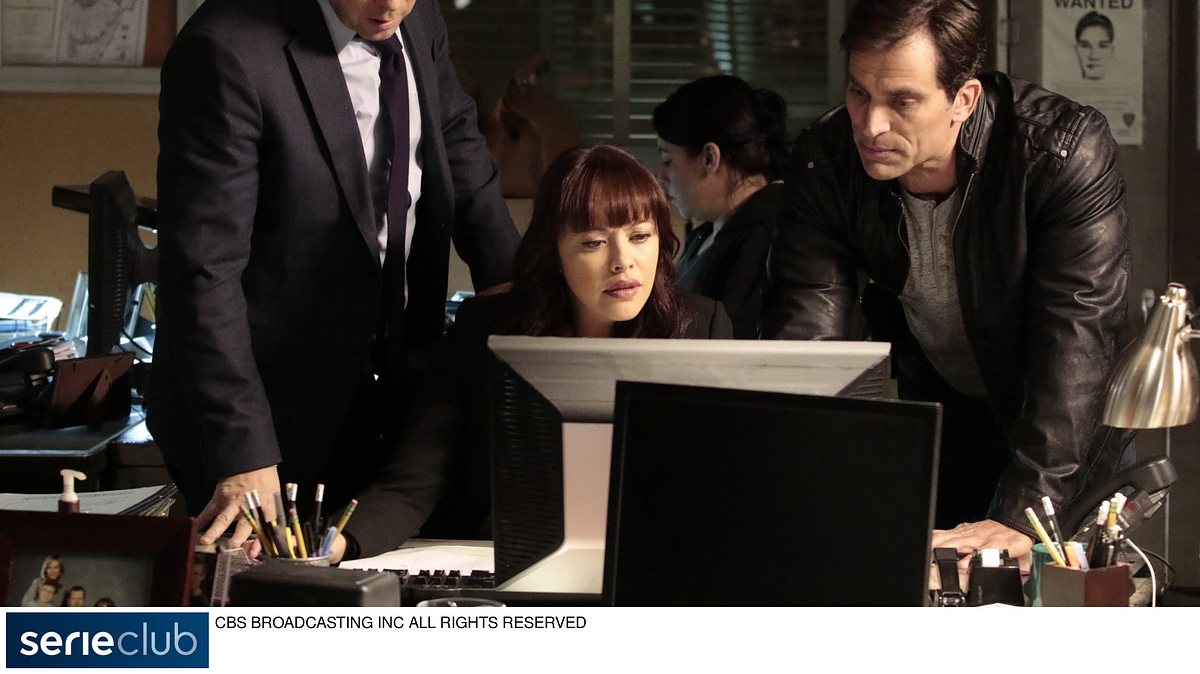 blue bloods - crime scene new york