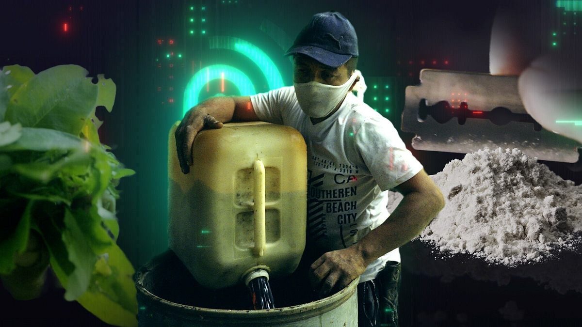 inside kokain: killer, kuriere, konsumenten