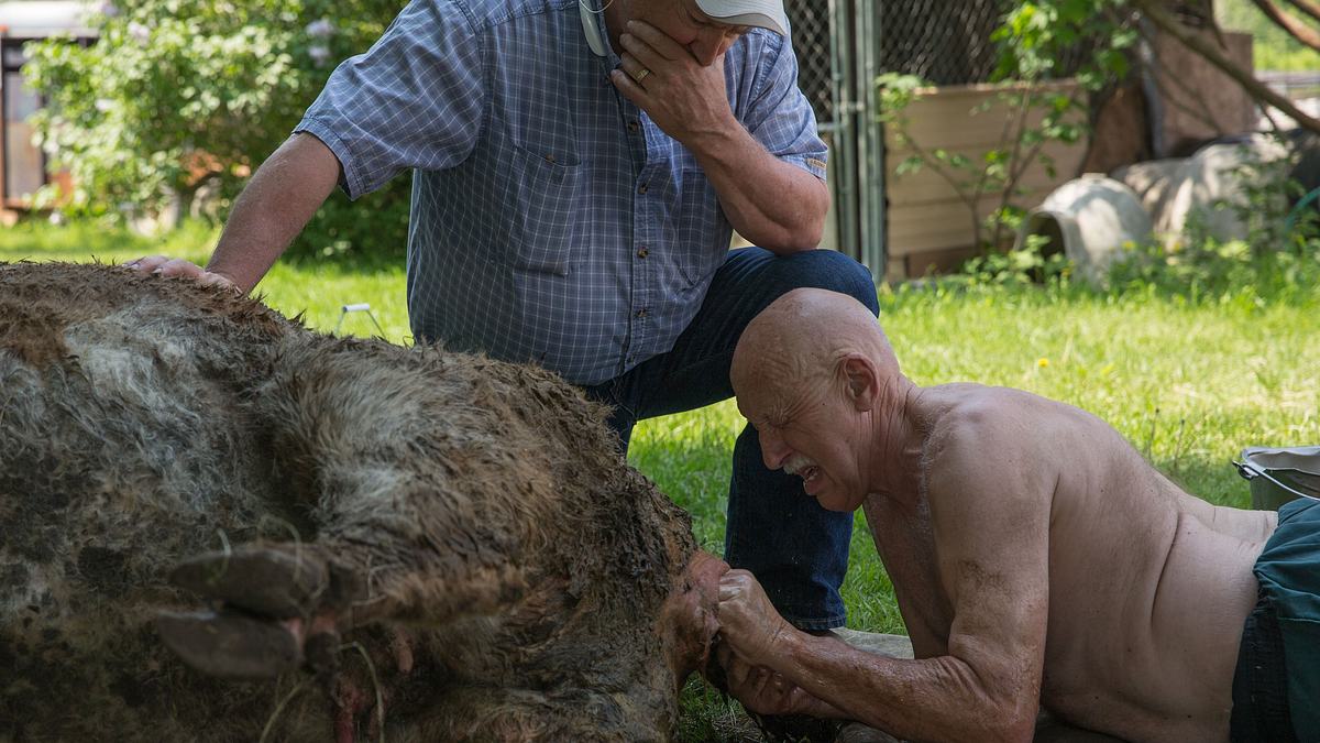 der unglaubliche dr. pol