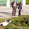 CSI: Miami Thumbnail