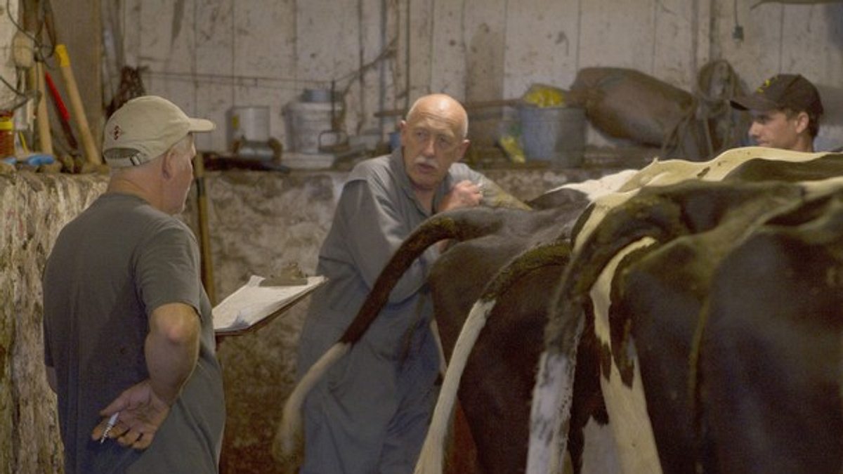 der unglaubliche dr. pol