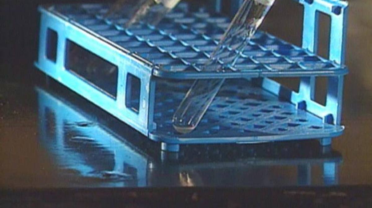 medical detectives - geheimnisse der gerichtsmedizin