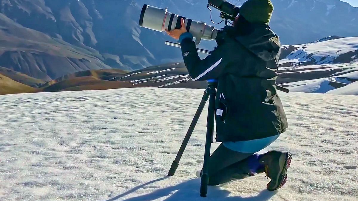 kamera-frauen in der wildnis
