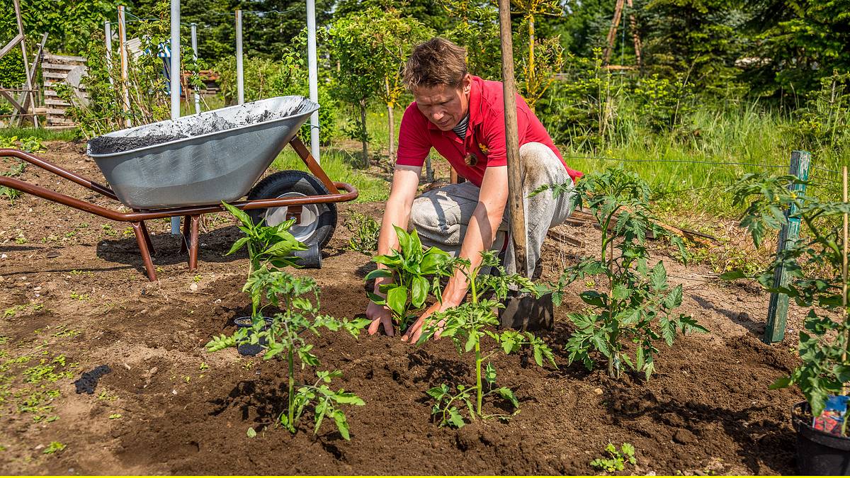 rasch durch den garten