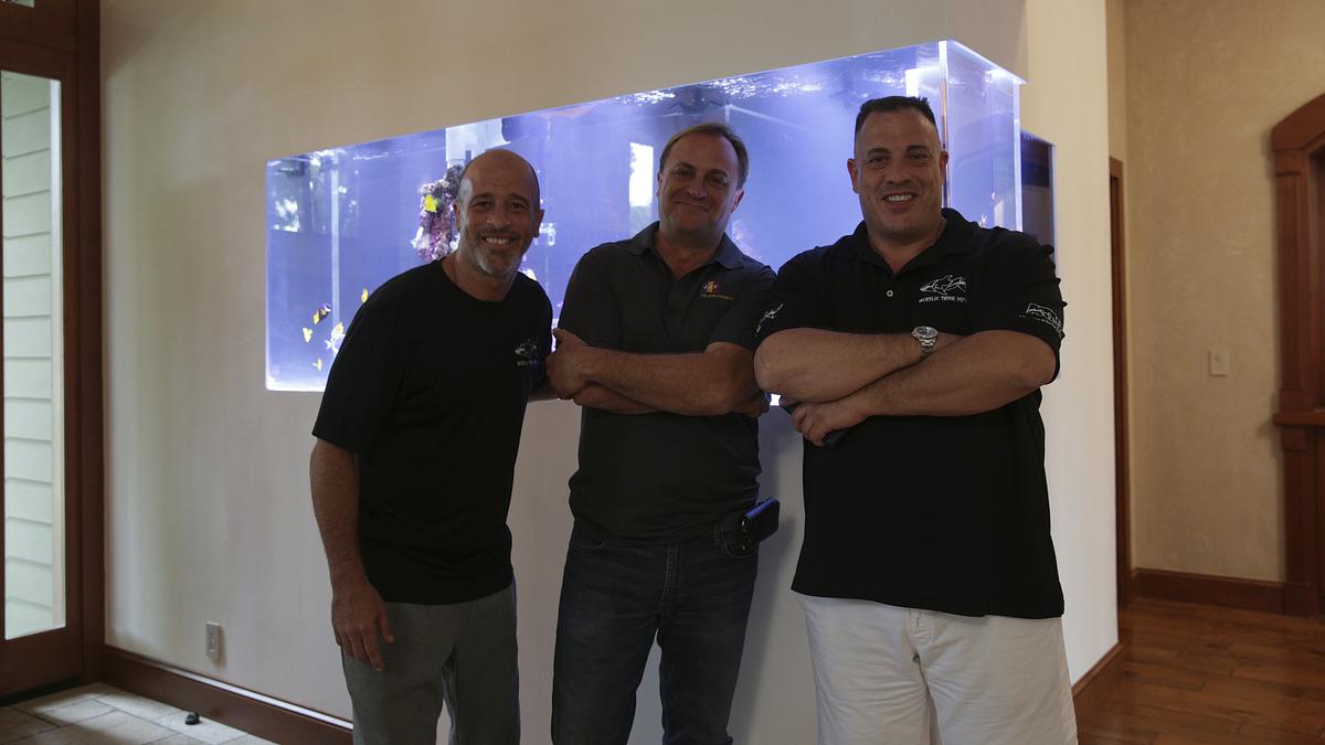 Die Aquarium-Profis die aquarium-profis