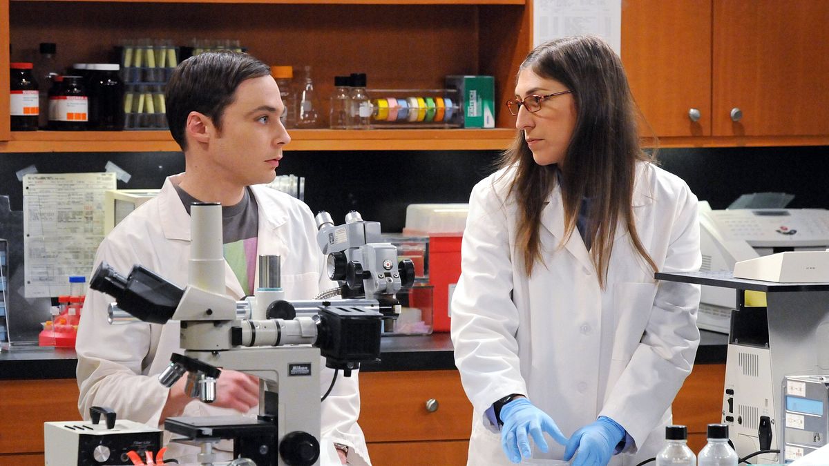 the big bang theory