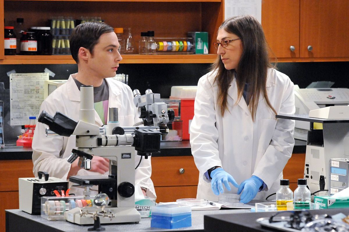 the big bang theory