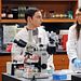 The Big Bang Theory Thumbnail