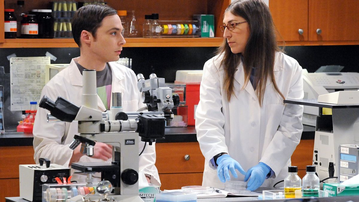 the big bang theory