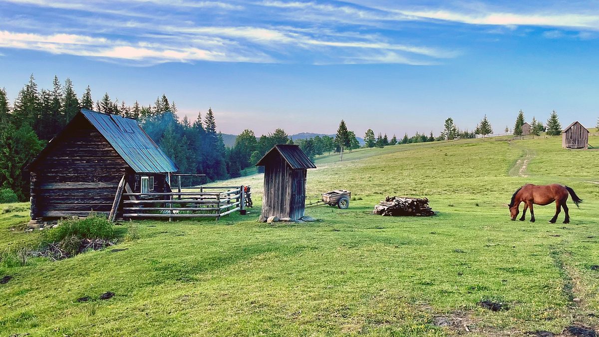 wildes rumänien - via transilvanica: bukowina und das hochland