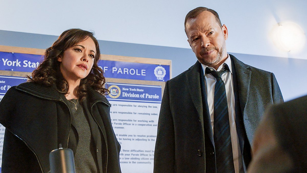 blue bloods - crime scene new york