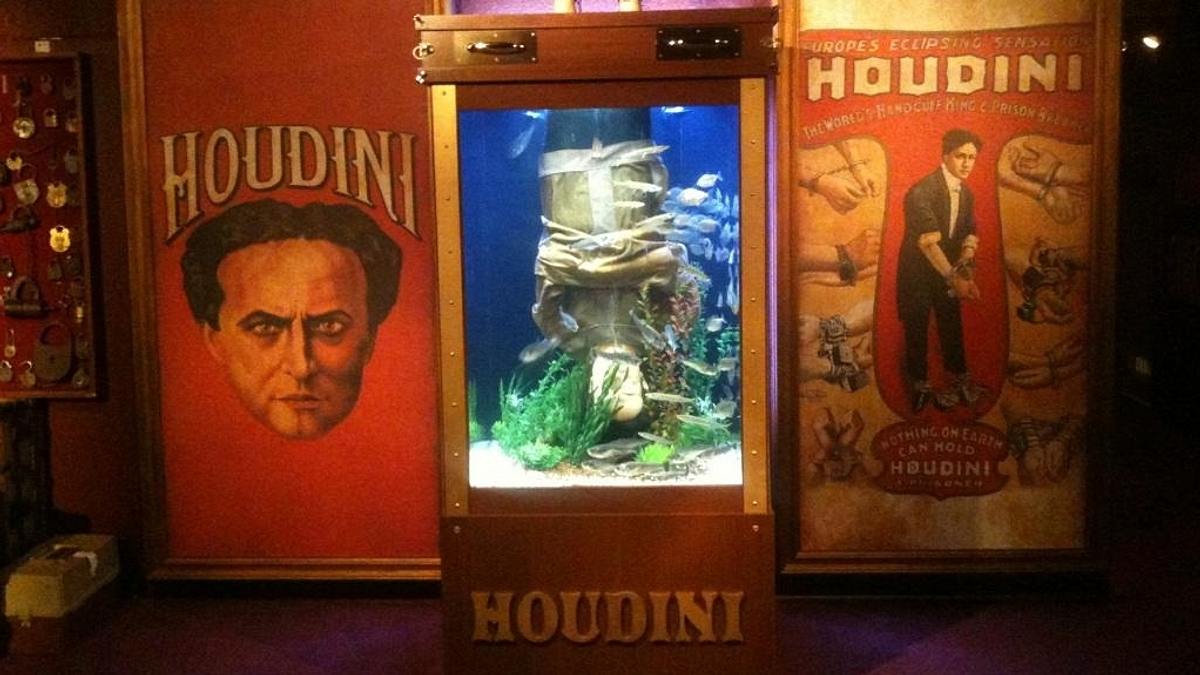 die aquarium-profis