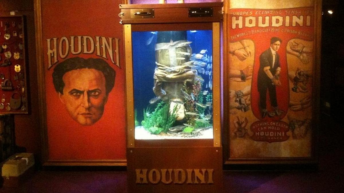 die aquarium-profis