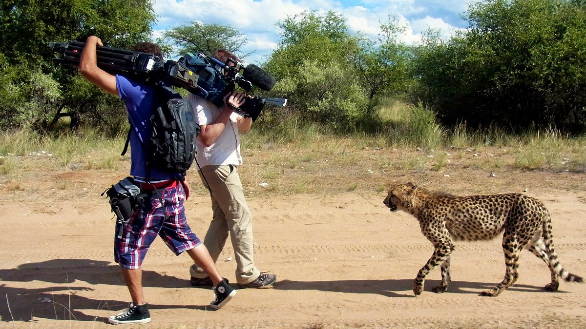 das waisenhaus für wilde tiere - abenteuer afrika