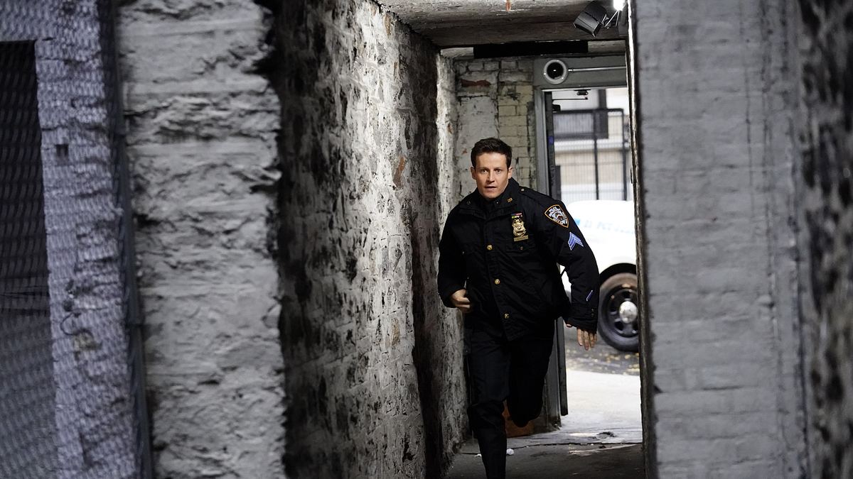 blue bloods - crime scene new york