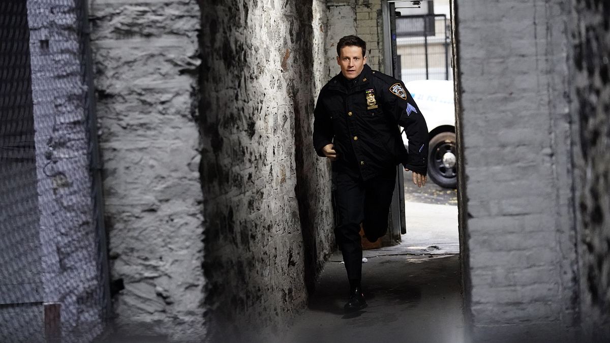 blue bloods - crime scene new york