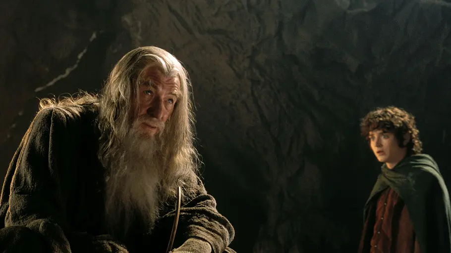 Der Herr der Ringe - Die Gefährten der herr der ringe - die gefährten