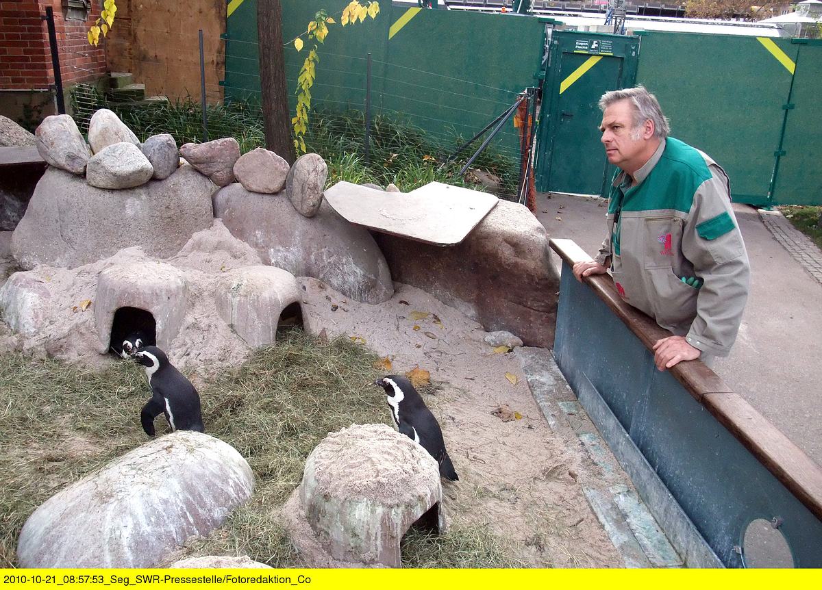 eisbär, affe & co.