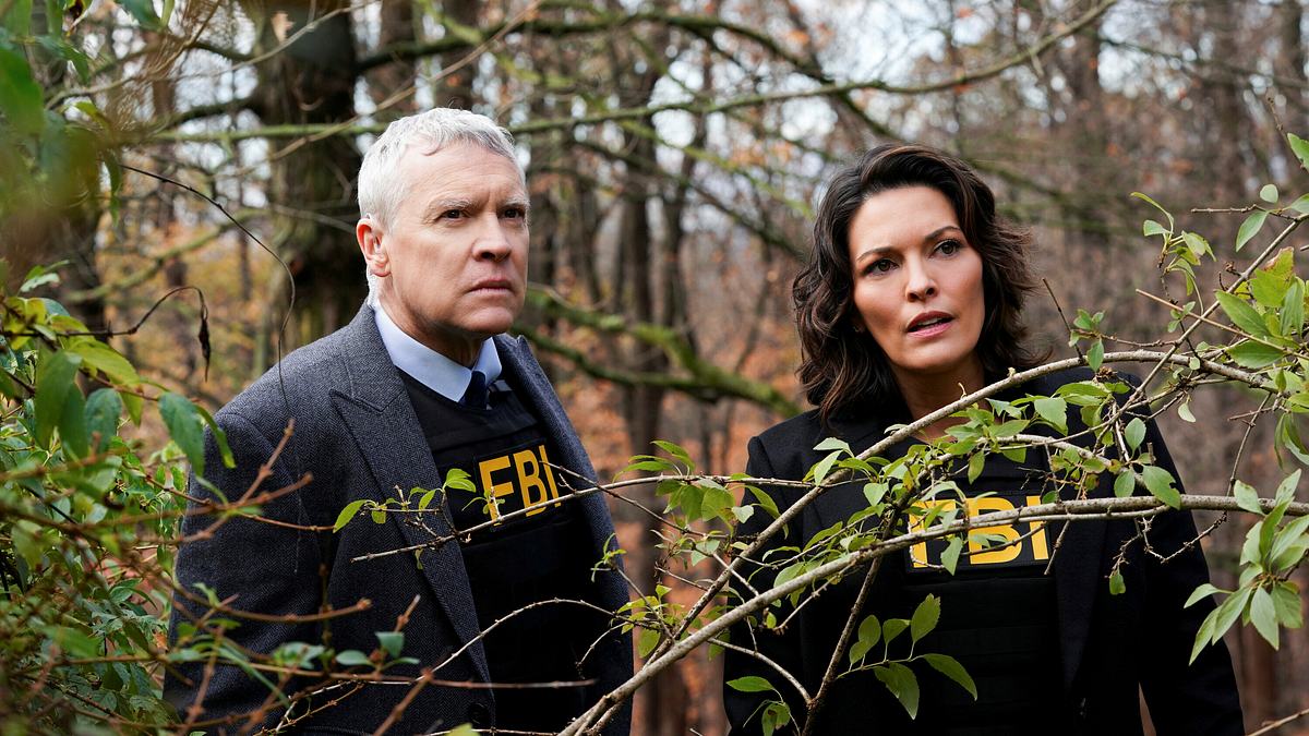 fbi: special crime unit