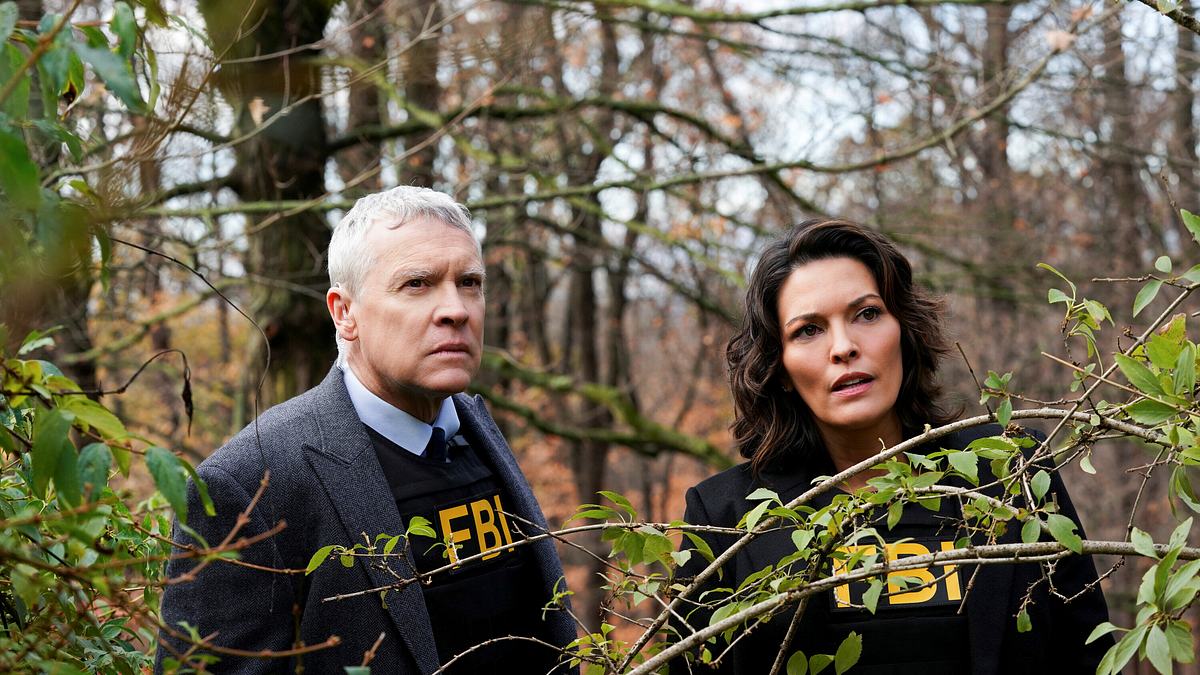 fbi: special crime unit