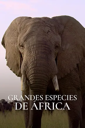 Great Species of Africa - Foto: TMDB