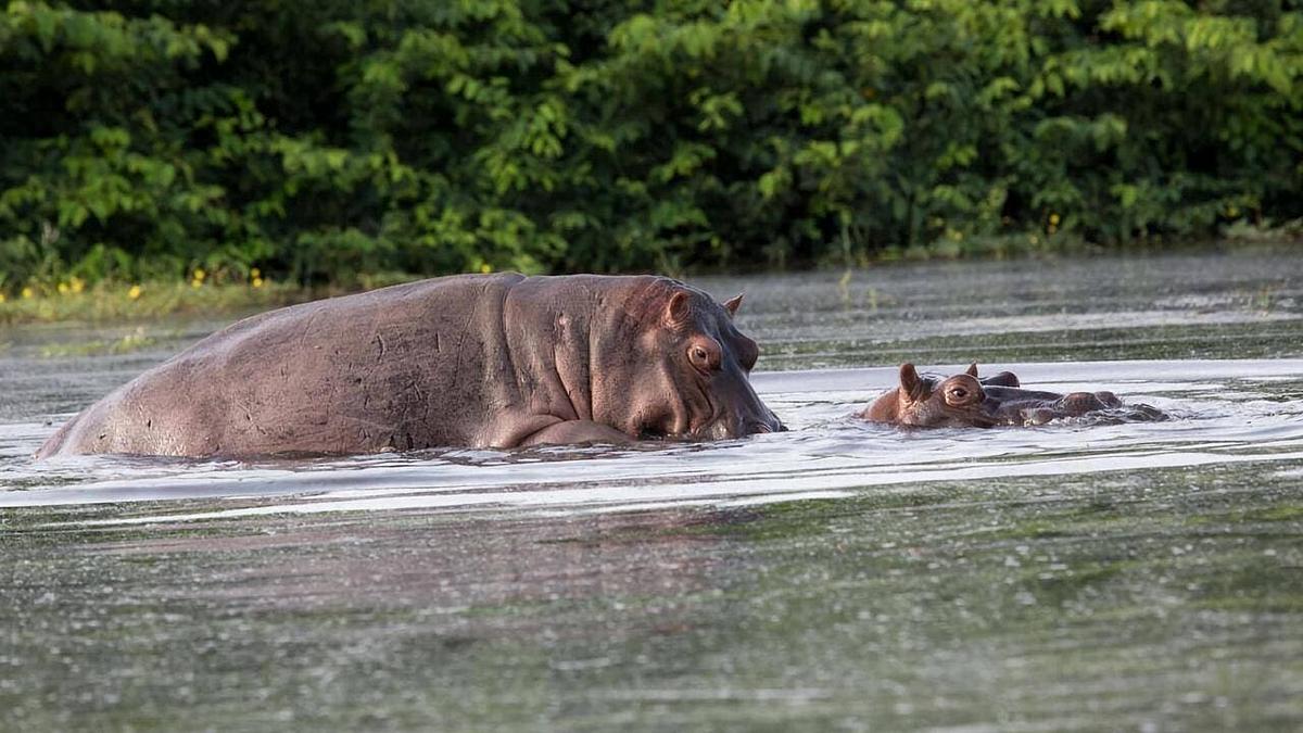Nationalparks der Zukunft Nationalparks der Zukunft