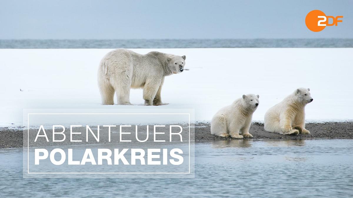 Abenteuer Polarkreis Abenteuer Polarkreis