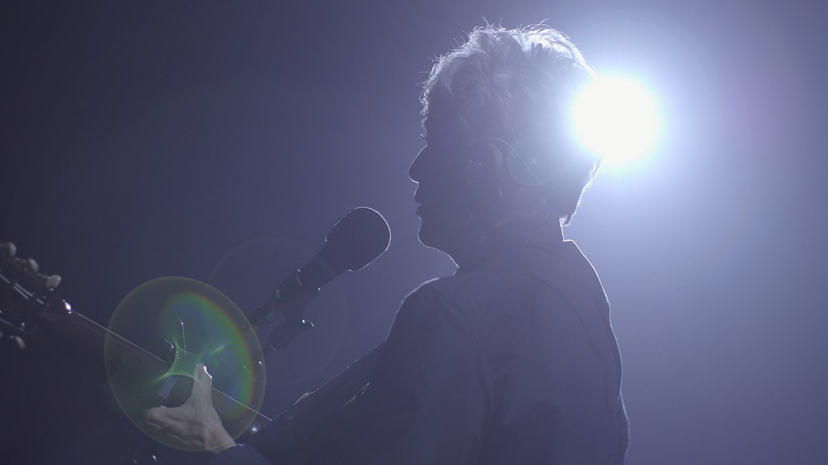 joan baez - mit lauter stimme