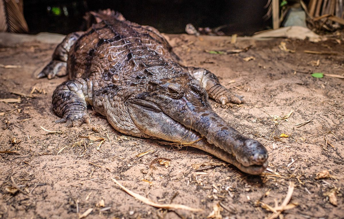 zoo und so - tierisch wild!