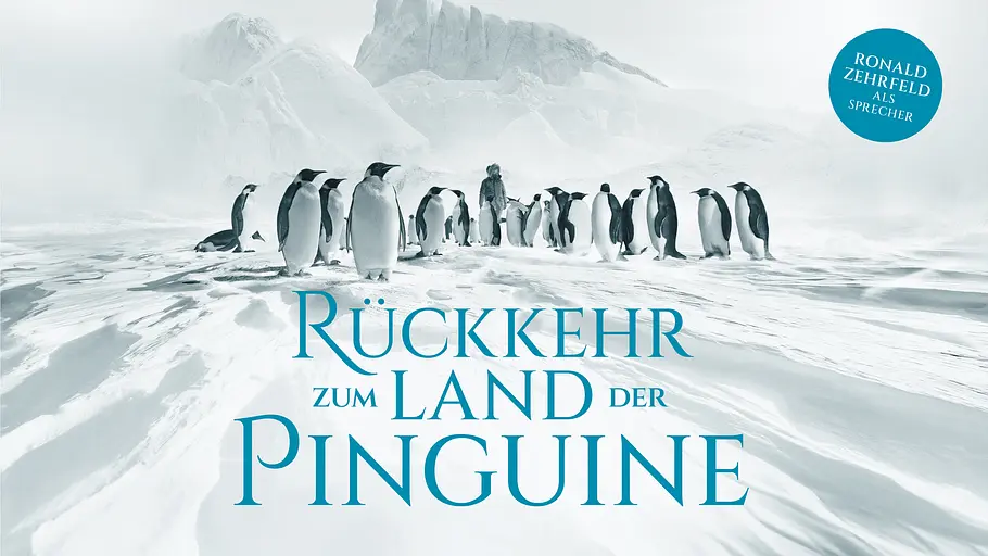 Rückkehr zum Land der Pinguine rückkehr zum land der pinguine
