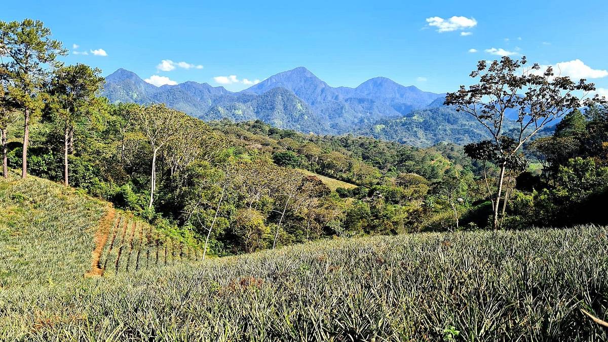 honduras - von regenwald und strand