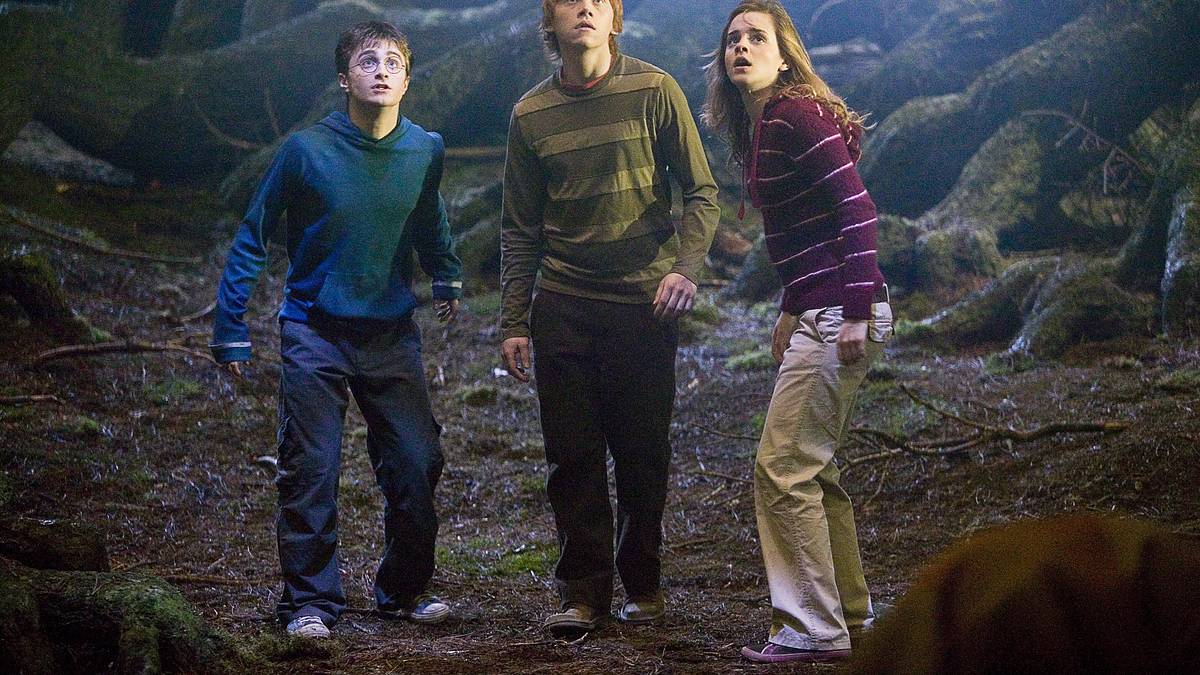 harry potter und der orden des phönix