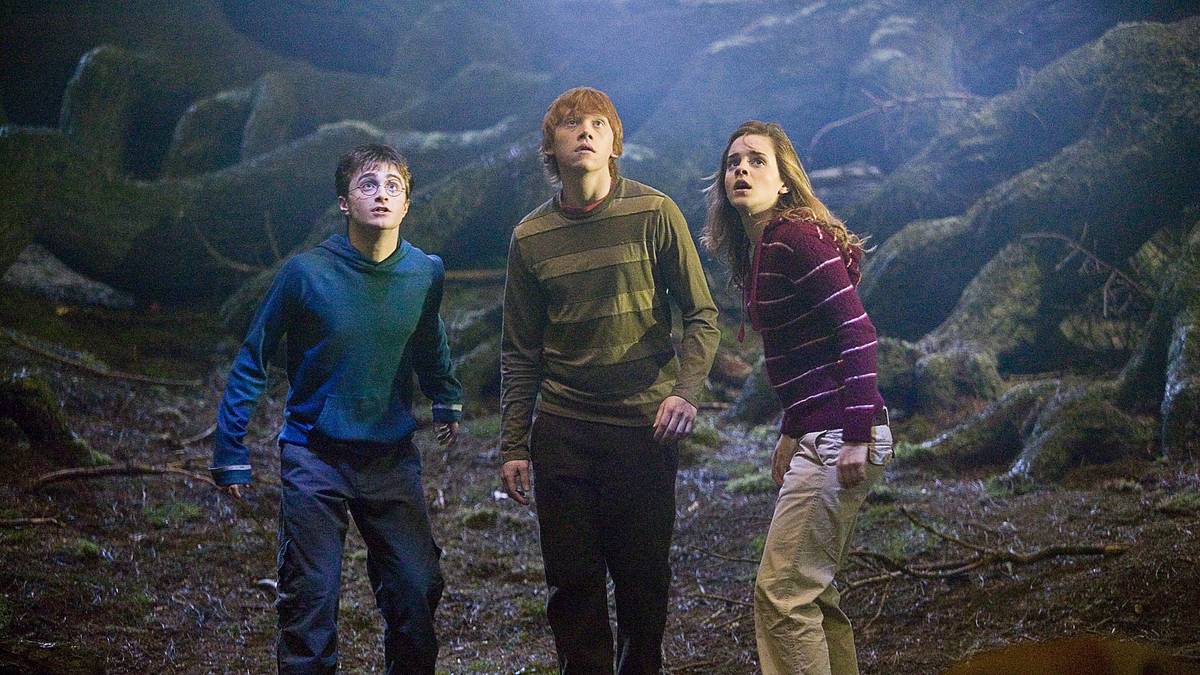 harry potter und der orden des phönix