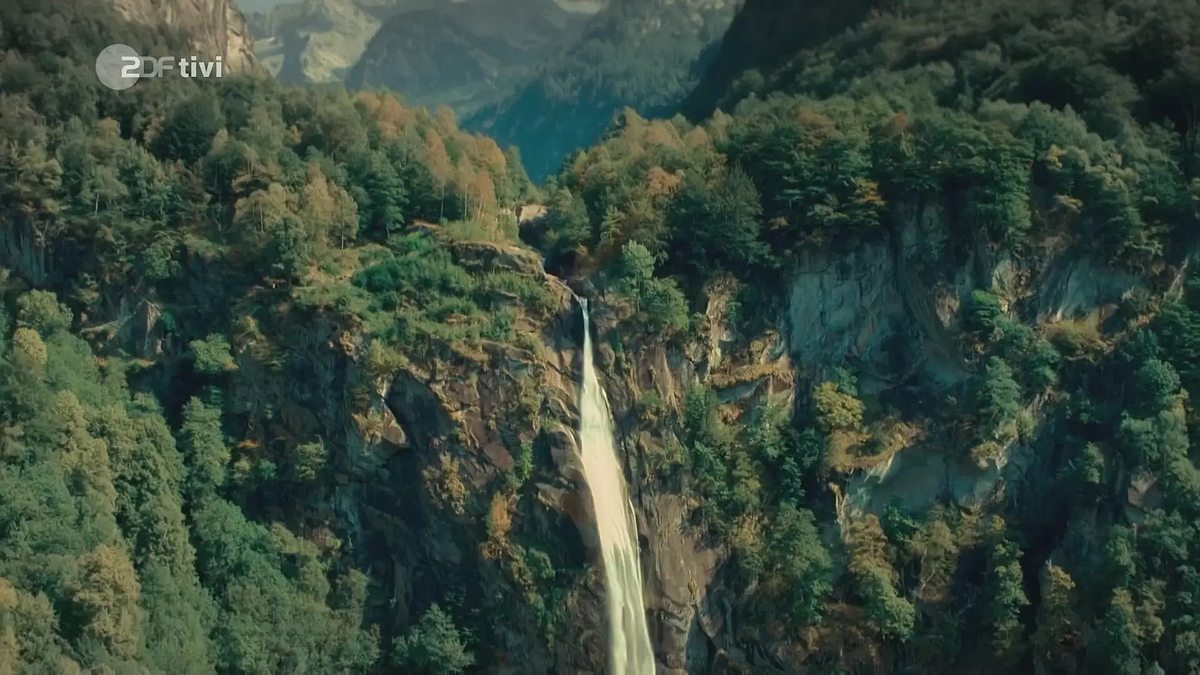 Rapunzel und die Rückkehr der Falken rapunzel und die rückkehr der falken
