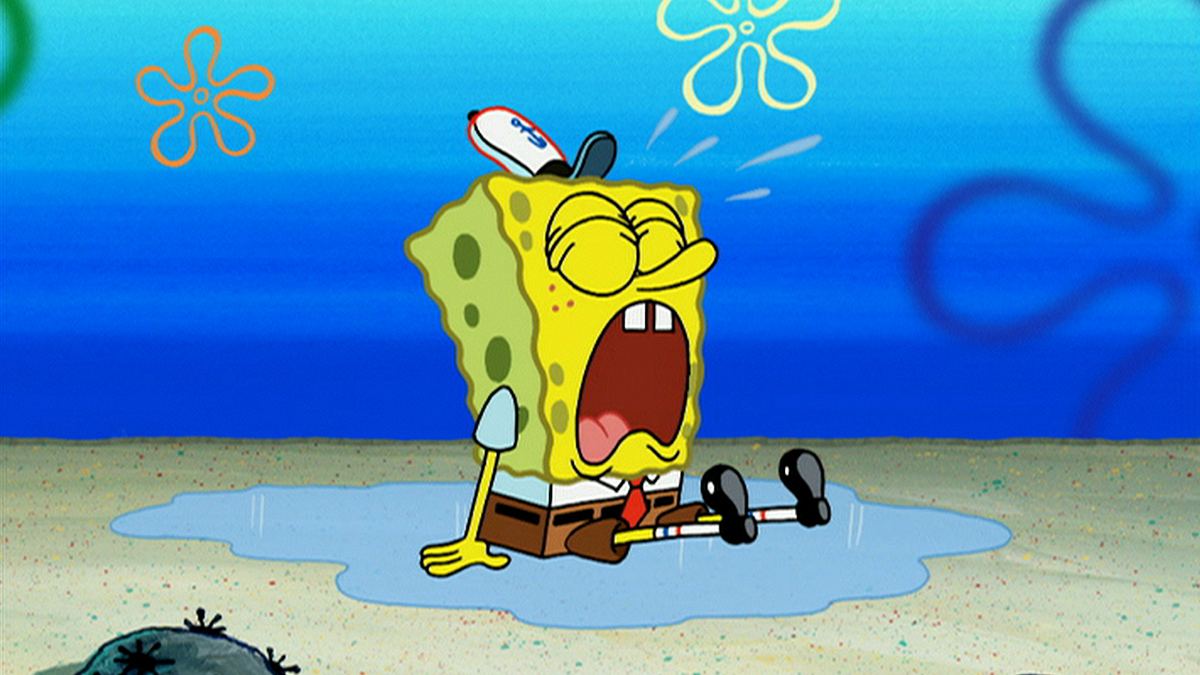 SpongeBob Schwammkopf spongebob schwammkopf