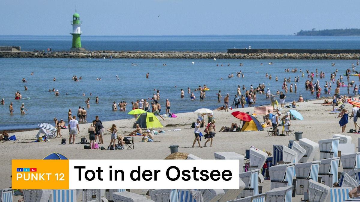 Punkt 12 - Das RTL-Mittagsjournal punkt 12 - das rtl-mittagsjournal