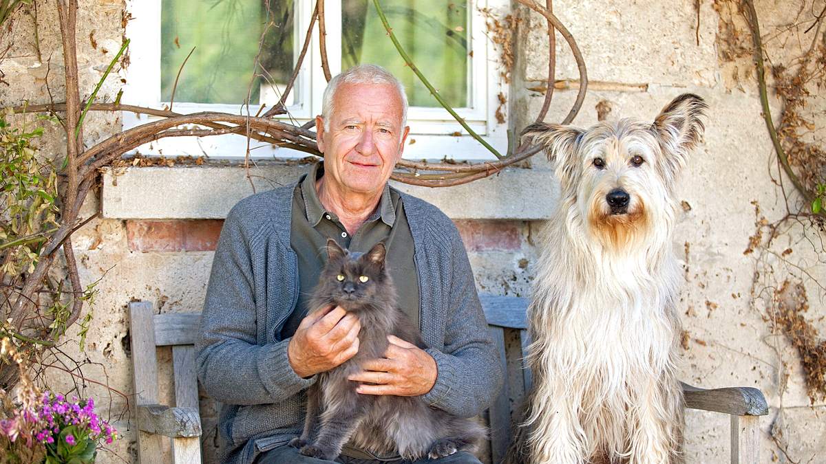 fuchs und gans