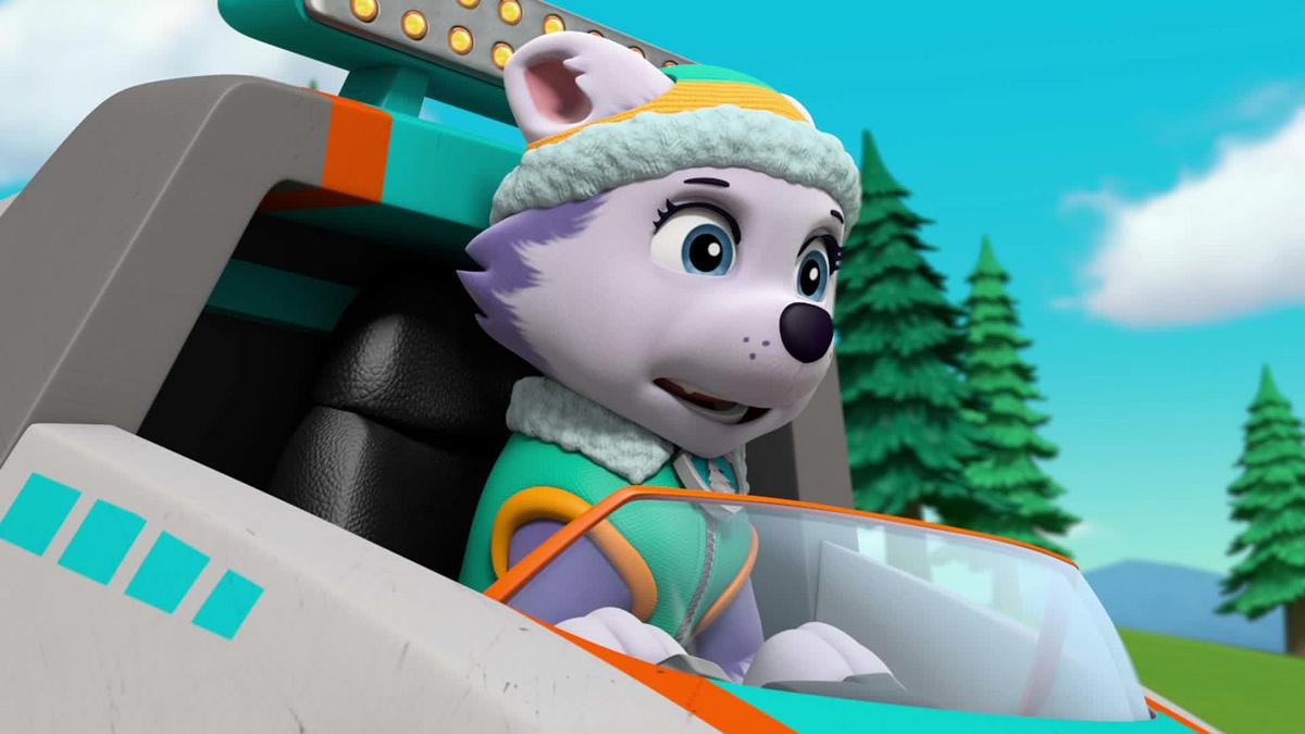 paw patrol - helfer auf vier pfoten