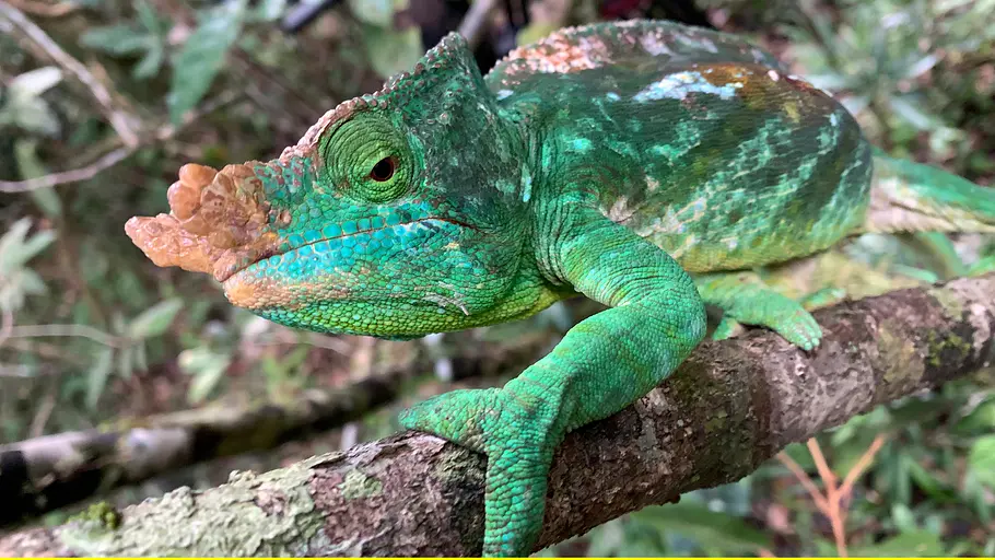 Unbekanntes Madagaskar unbekanntes madagaskar
