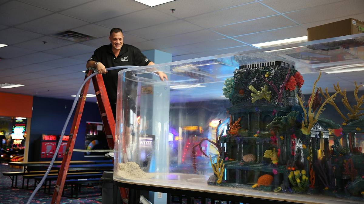 Die Aquarium-Profis die aquarium-profis
