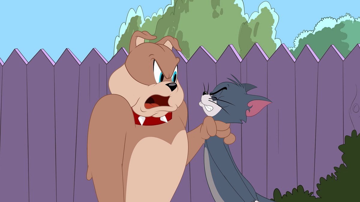 die tom und jerry show