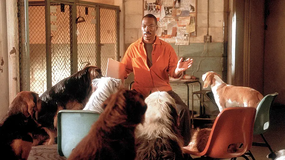 Dr. Dolittle 2 dr. dolittle 2