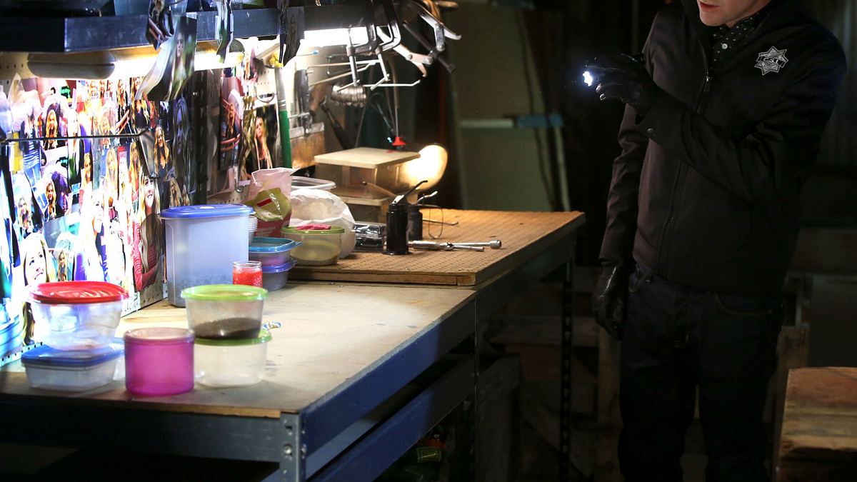 csi: den tätern auf der spur