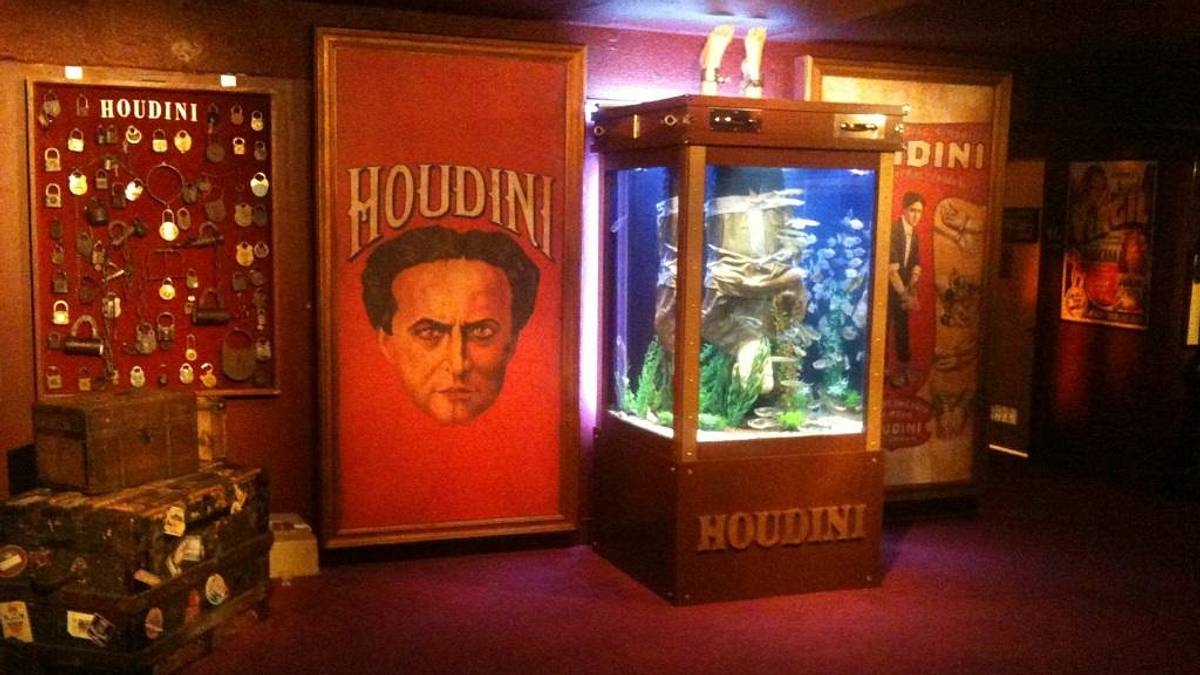 die aquarium-profis