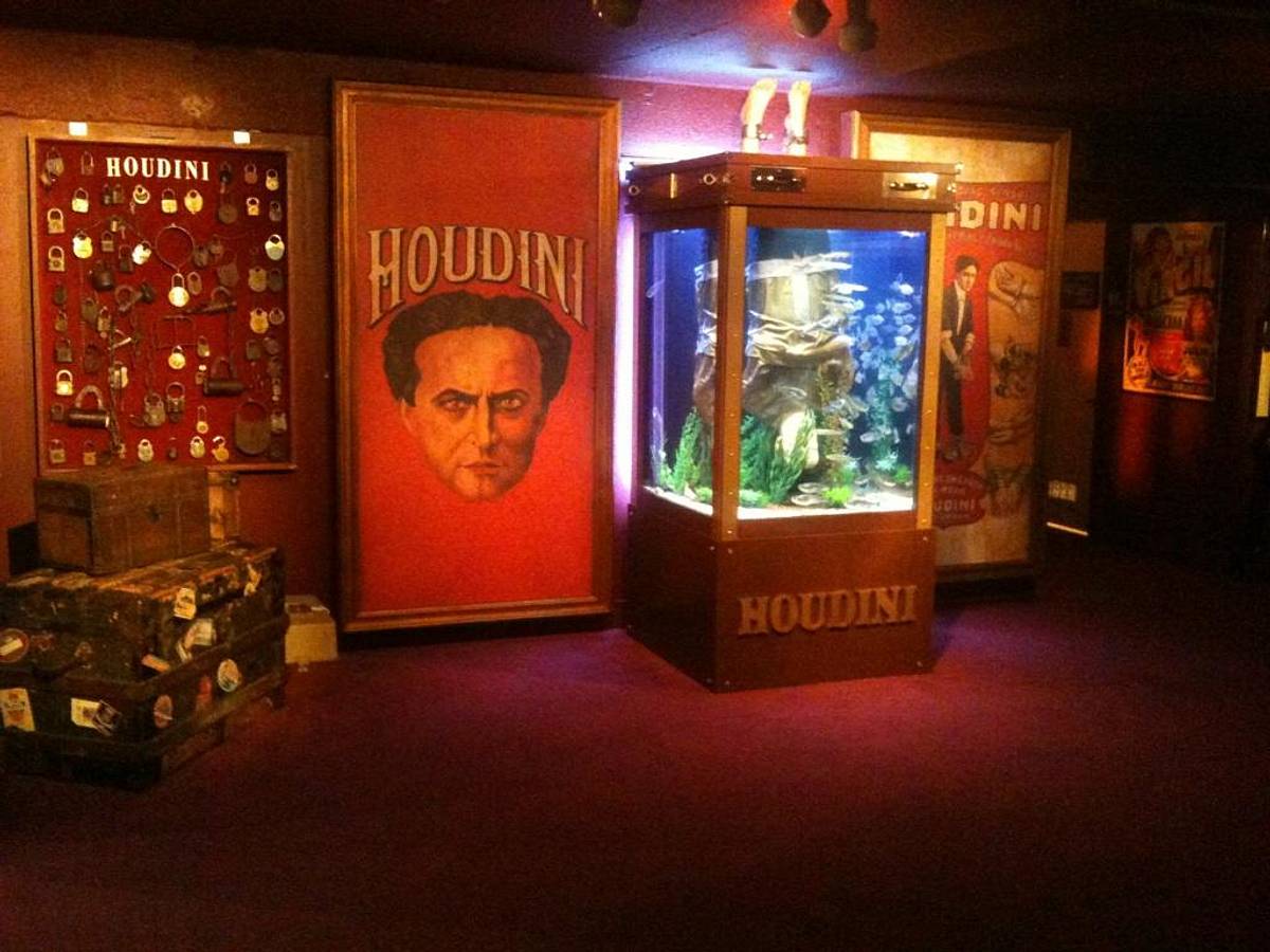 Die Aquarium-Profis die aquarium-profis