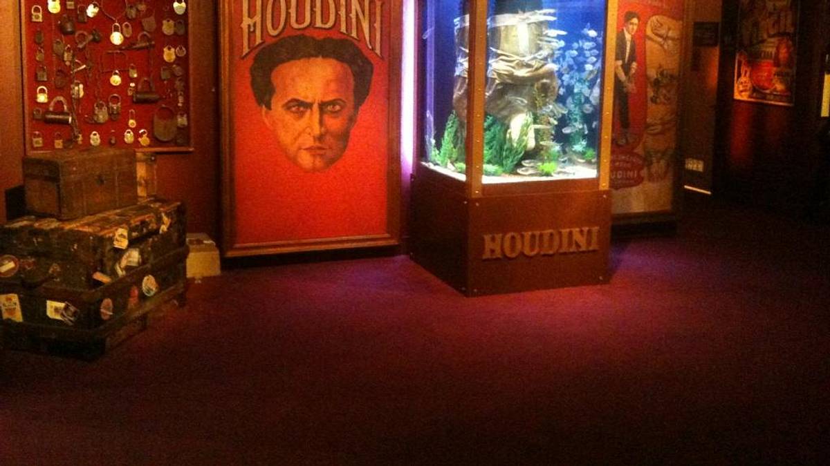 die aquarium-profis